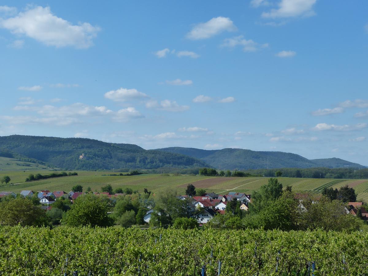 Gaestehaus Annel Niederhorbach Kültér fotó
