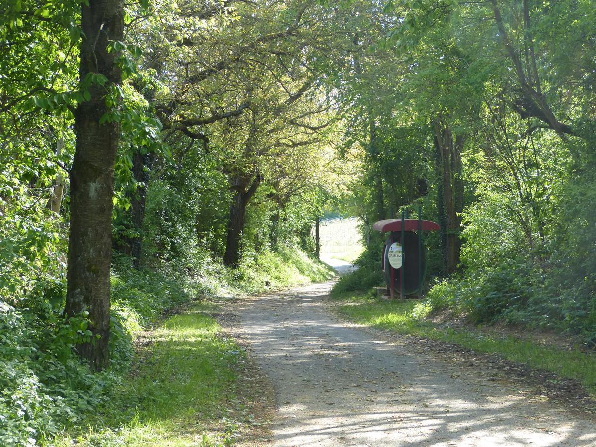 Gaestehaus Annel Niederhorbach Kültér fotó